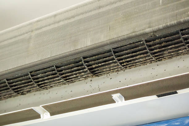 Best Air Duct Cleaning Company Near Me  in Gold River, CA